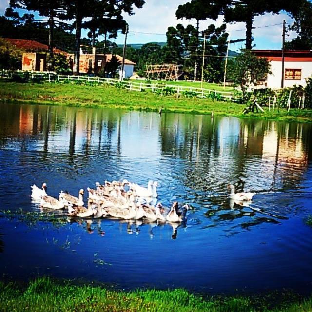 Refugio Do Lago Hotel ลาเจส ภายนอก รูปภาพ